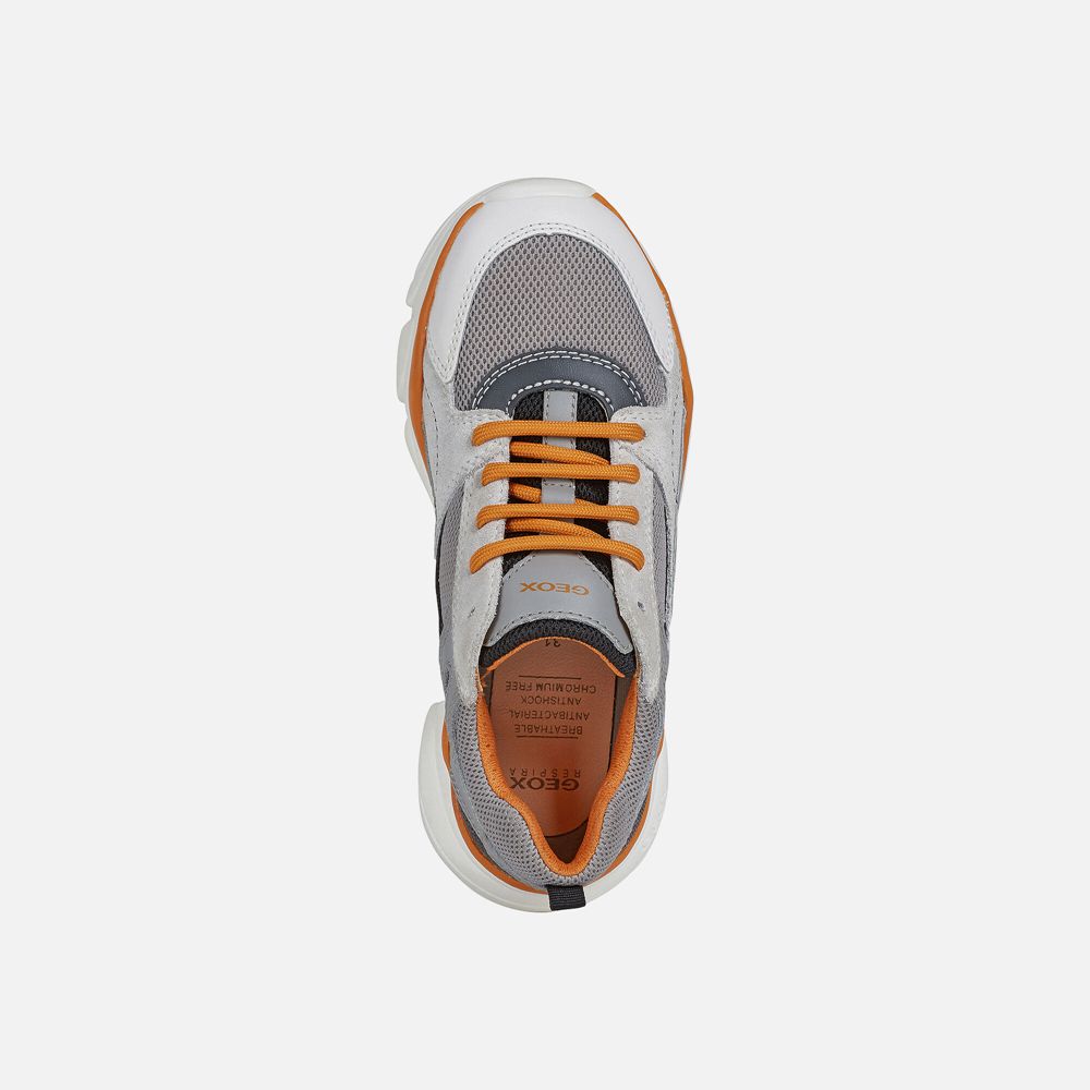 Tenis Geox Menino Cinzentas/Laranja - Lunare - YUGTB9406